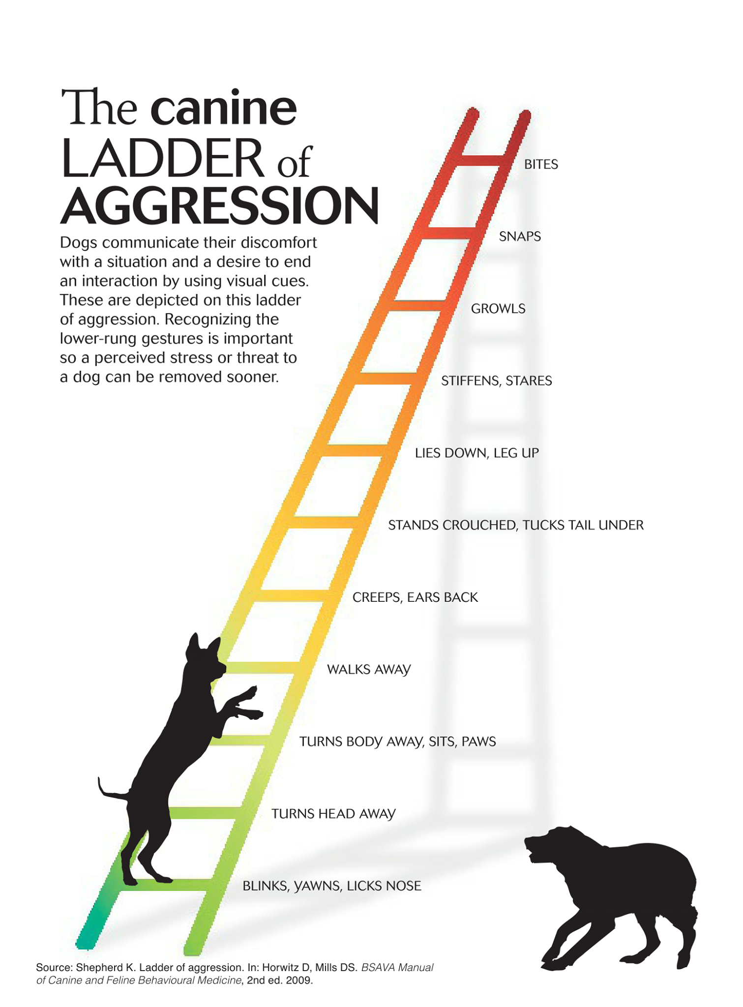 Canine Ladder of Aggression - Edinburgh Pet Health Center
